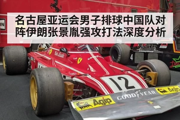 名古屋亚运会男子排球中国队对阵伊朗张景胤强攻打法深度分析